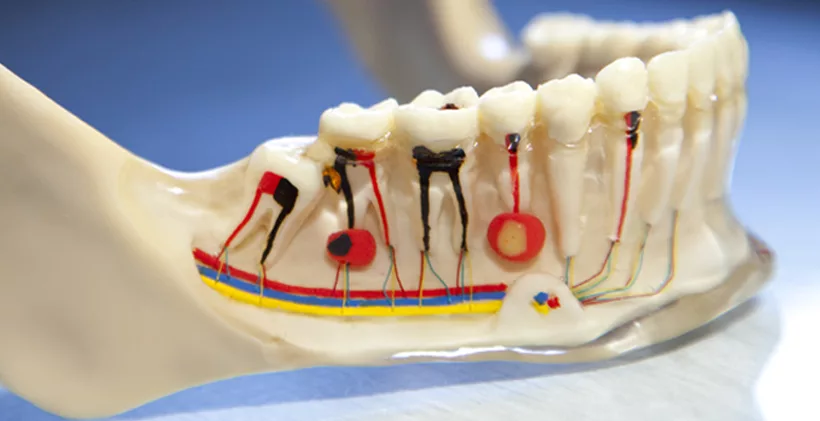 Endodonzia